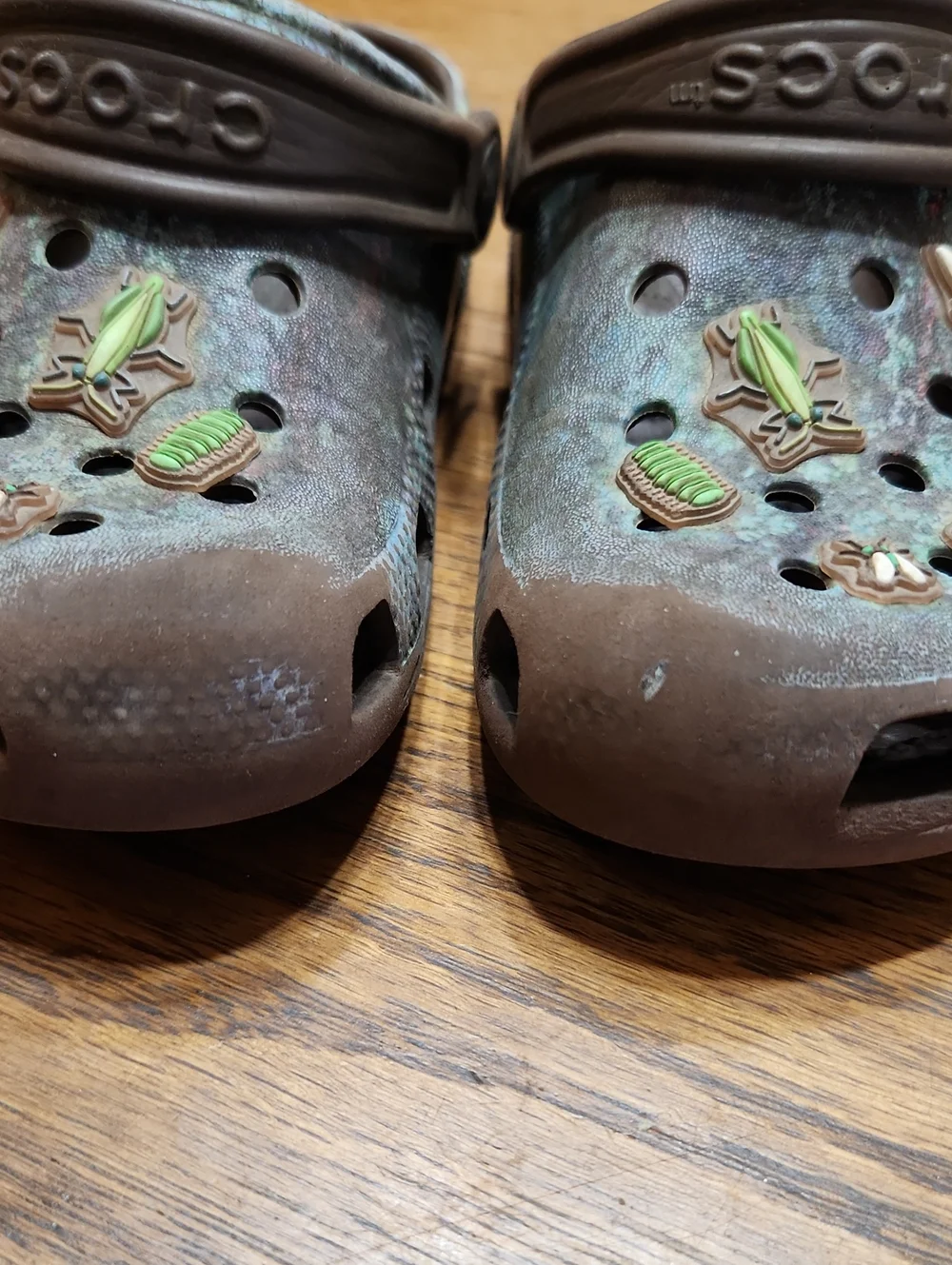 Crocs Classic Bugs Size J2